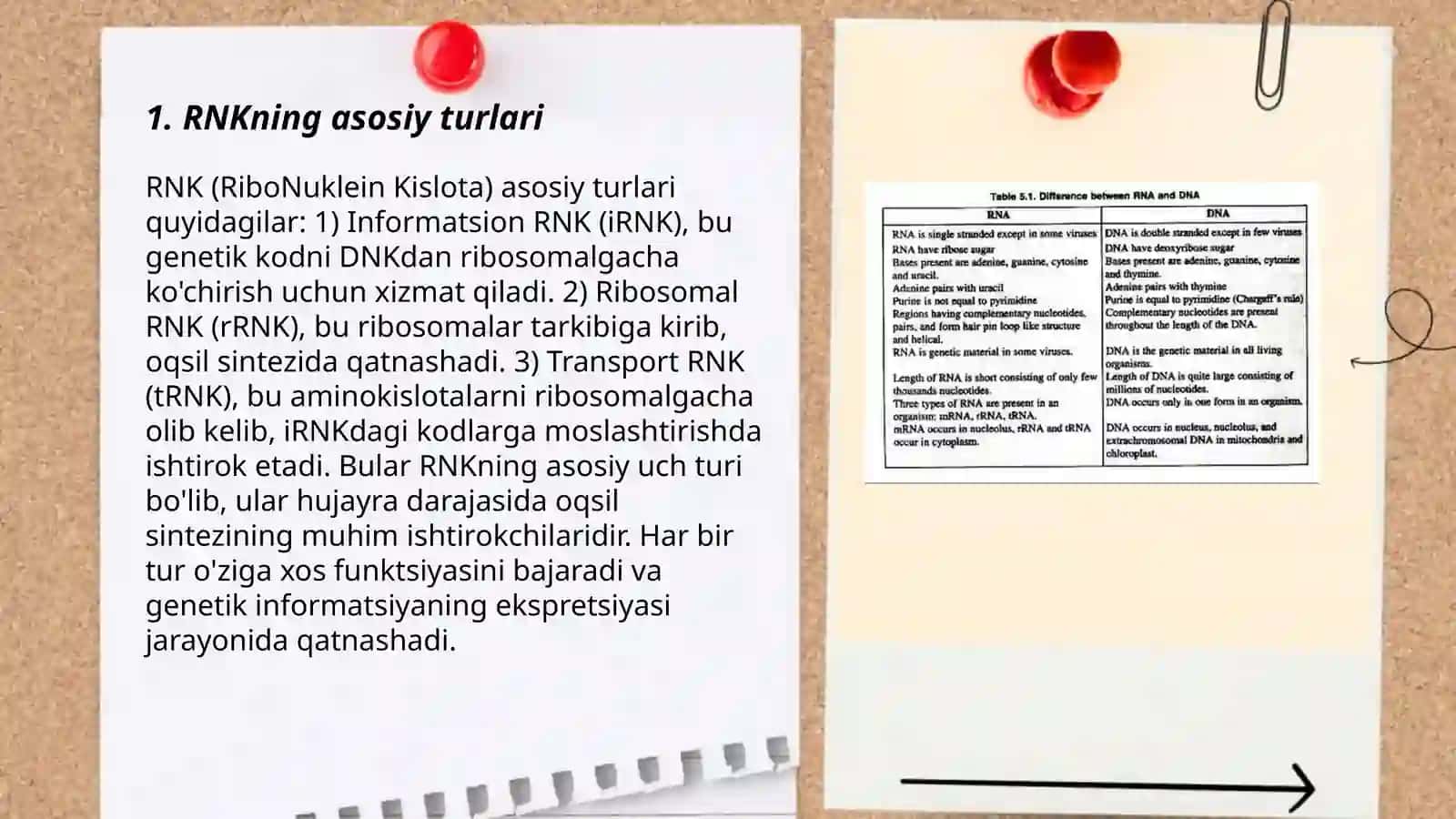 RNk turlari va vazifalari 3
