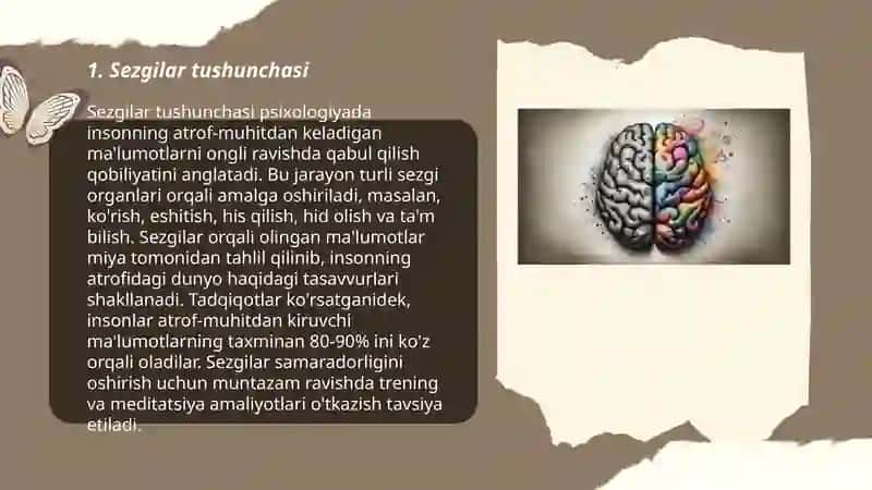 Sezgilar haqida umumiy tushuncha 3