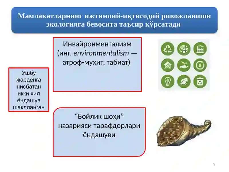 Инвайронментализм 3