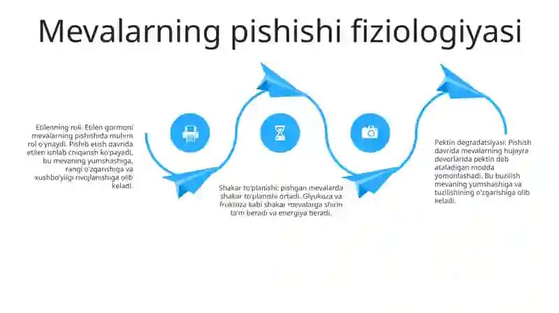 Mevalarning Pishish Biokimyosi 3