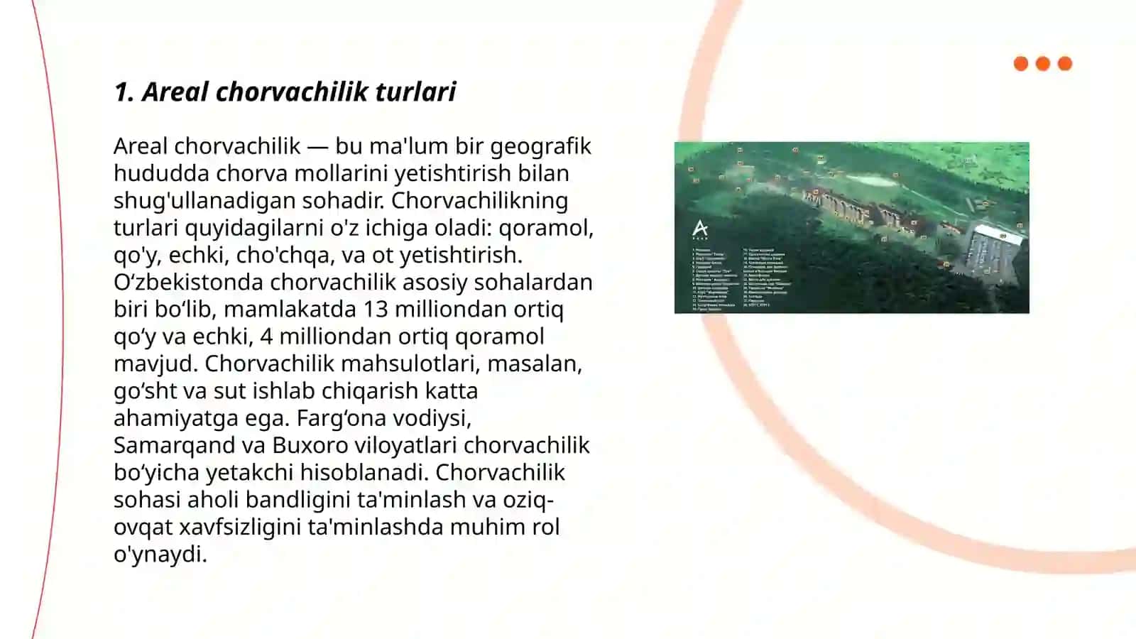 Areal livestika 3