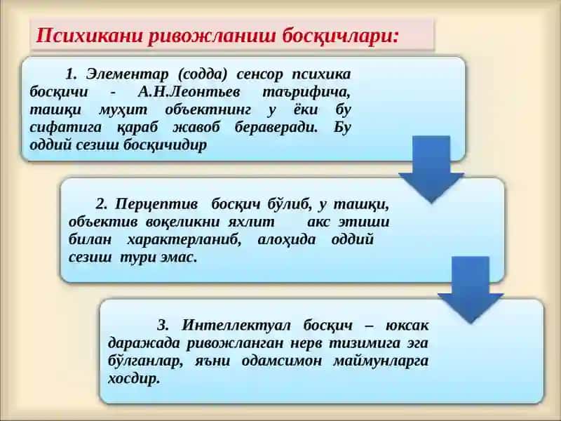 ХУЛК-АТВОРНИНГ РСИХОФИЗИОЛОГИК АСОСЛАРИ 3