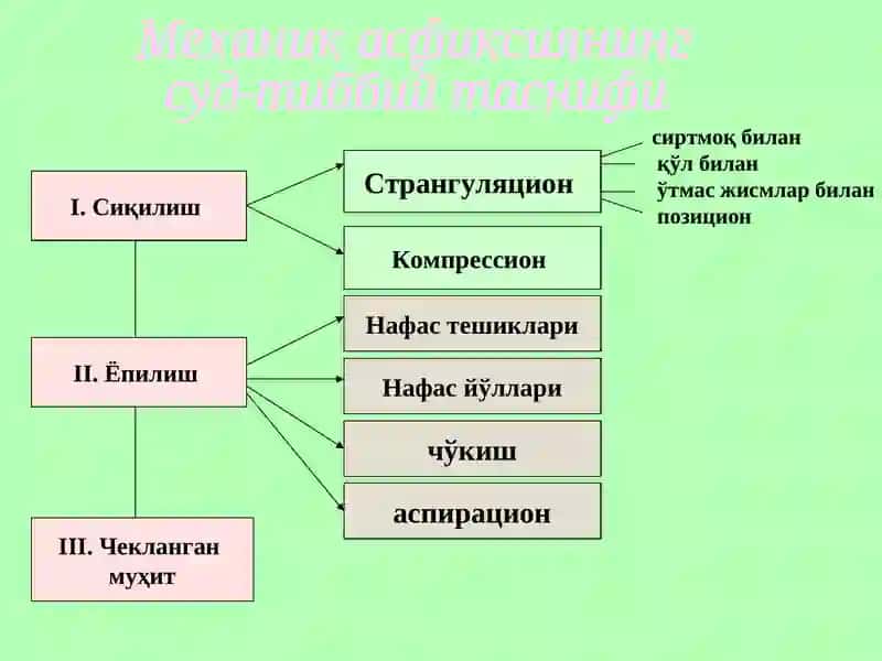 Асфиксия тушунчаси 3