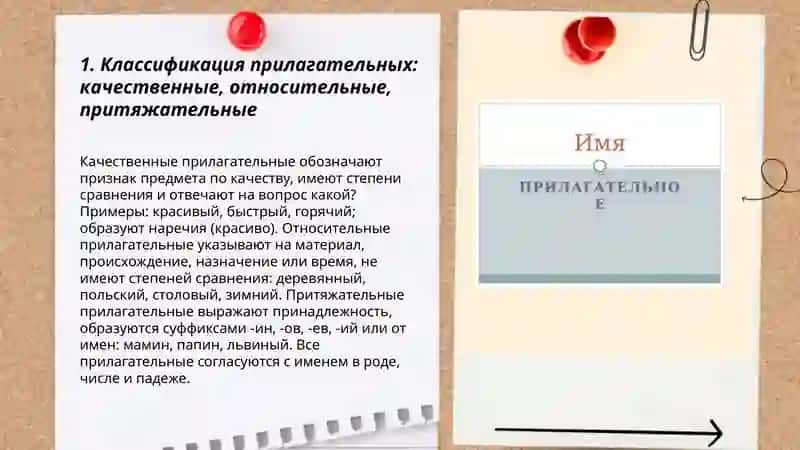 Классификация прилагательных 3