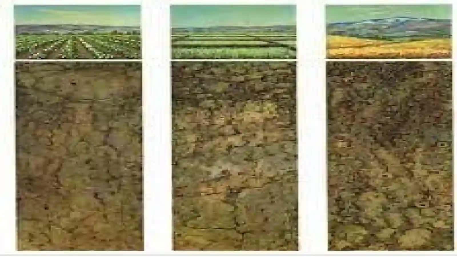 QURUQ DASHT TUPROQLARI 3