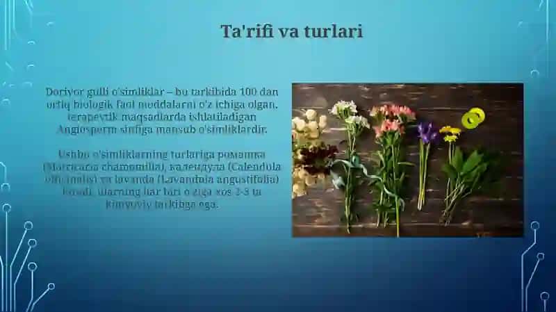 Dorivor gulli o'simliklar 3