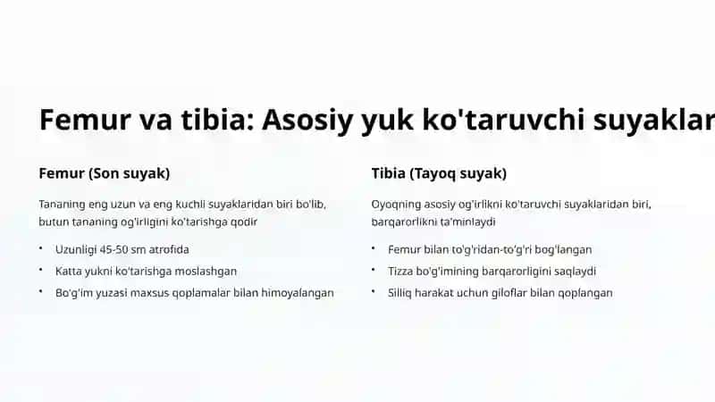 Tizza bo'g'imi suyaklari: Tuzilishi va Ahmiyati 3