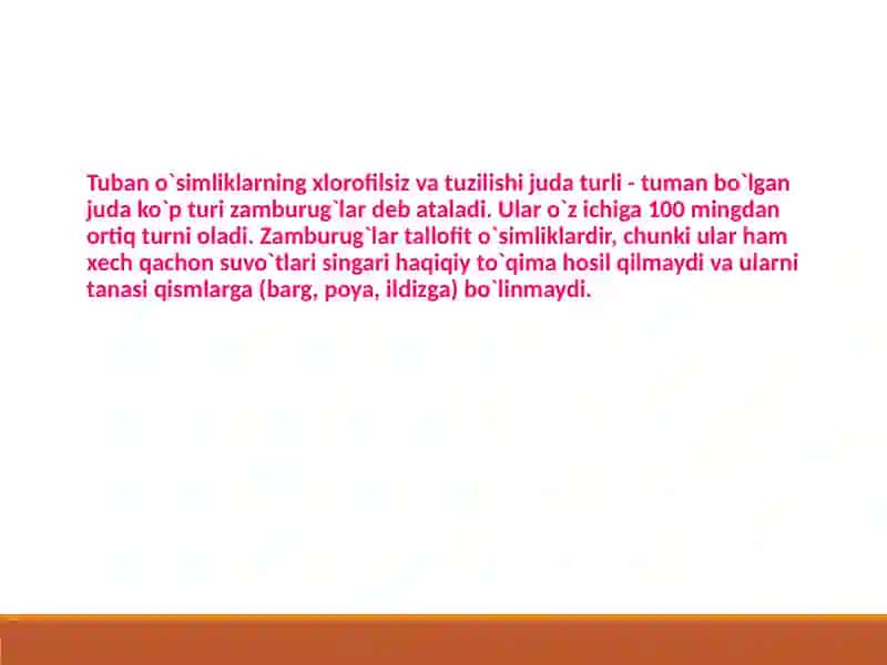 Zamburug`lar haqida umumiy tushuncha 3