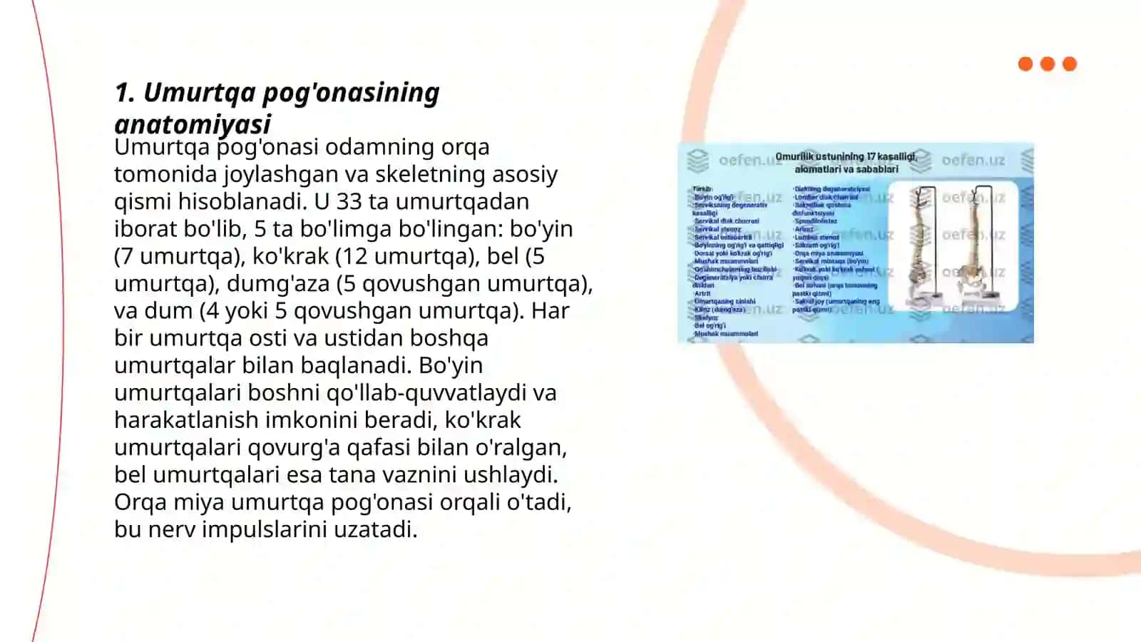 Umurtqa pog'onasi, bolimlari va kasalliklari 3