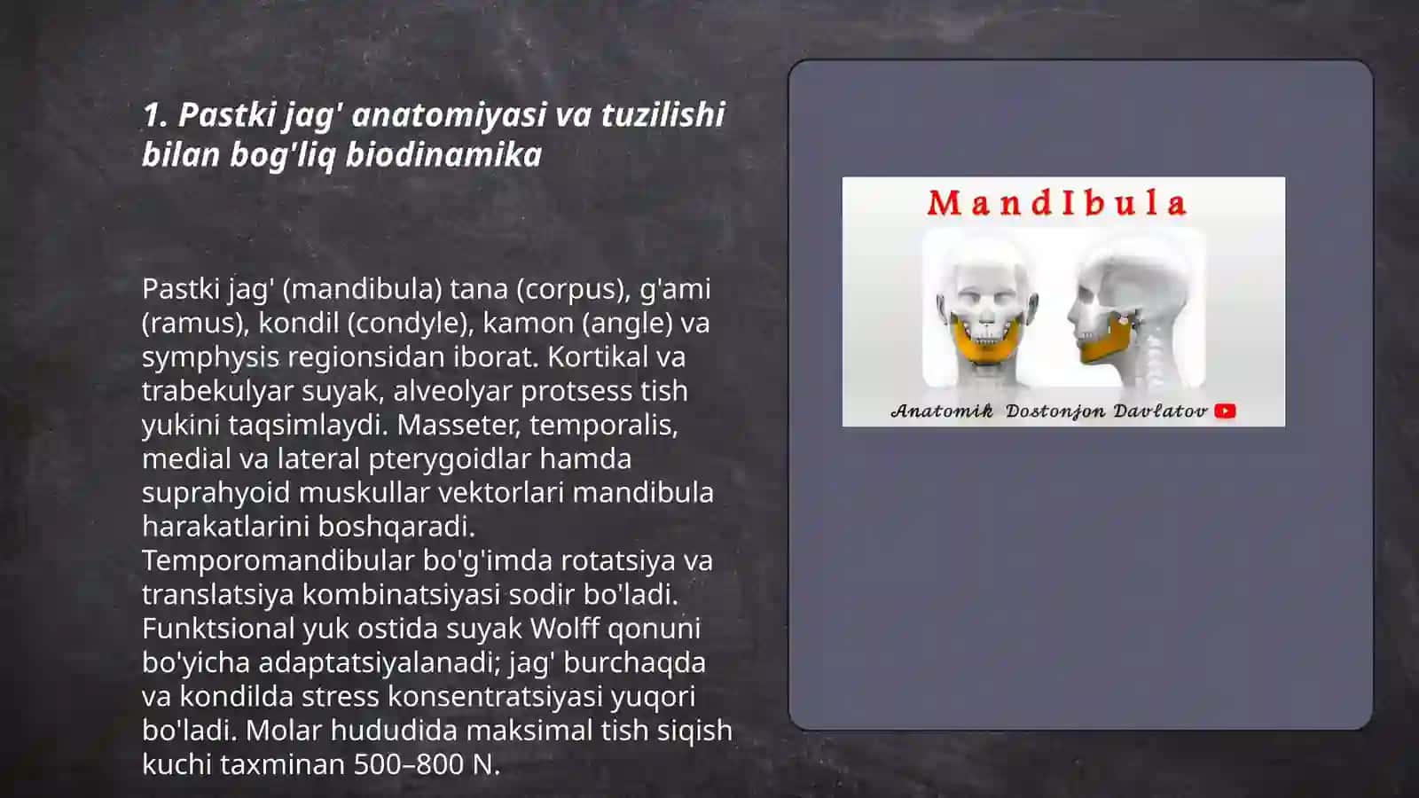 Pastki jag' biodinamikasi 3