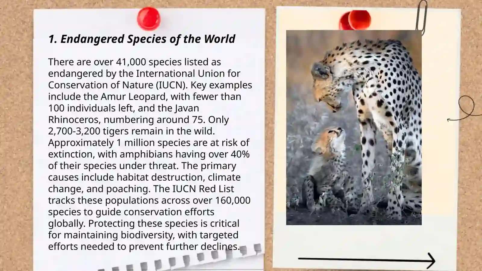 Endangered Species of the World 3