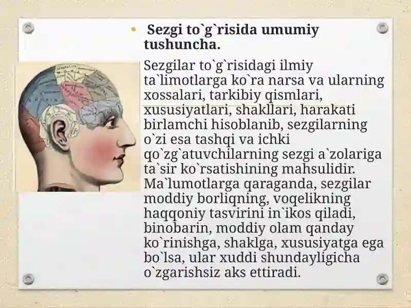 Sezgi Turlari va Ularning Qonuniyatları 3