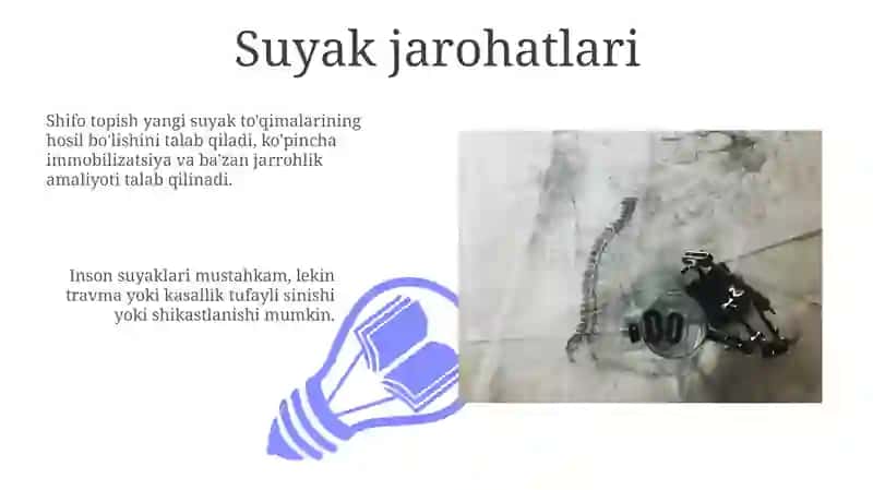 Odam suyaklari 3