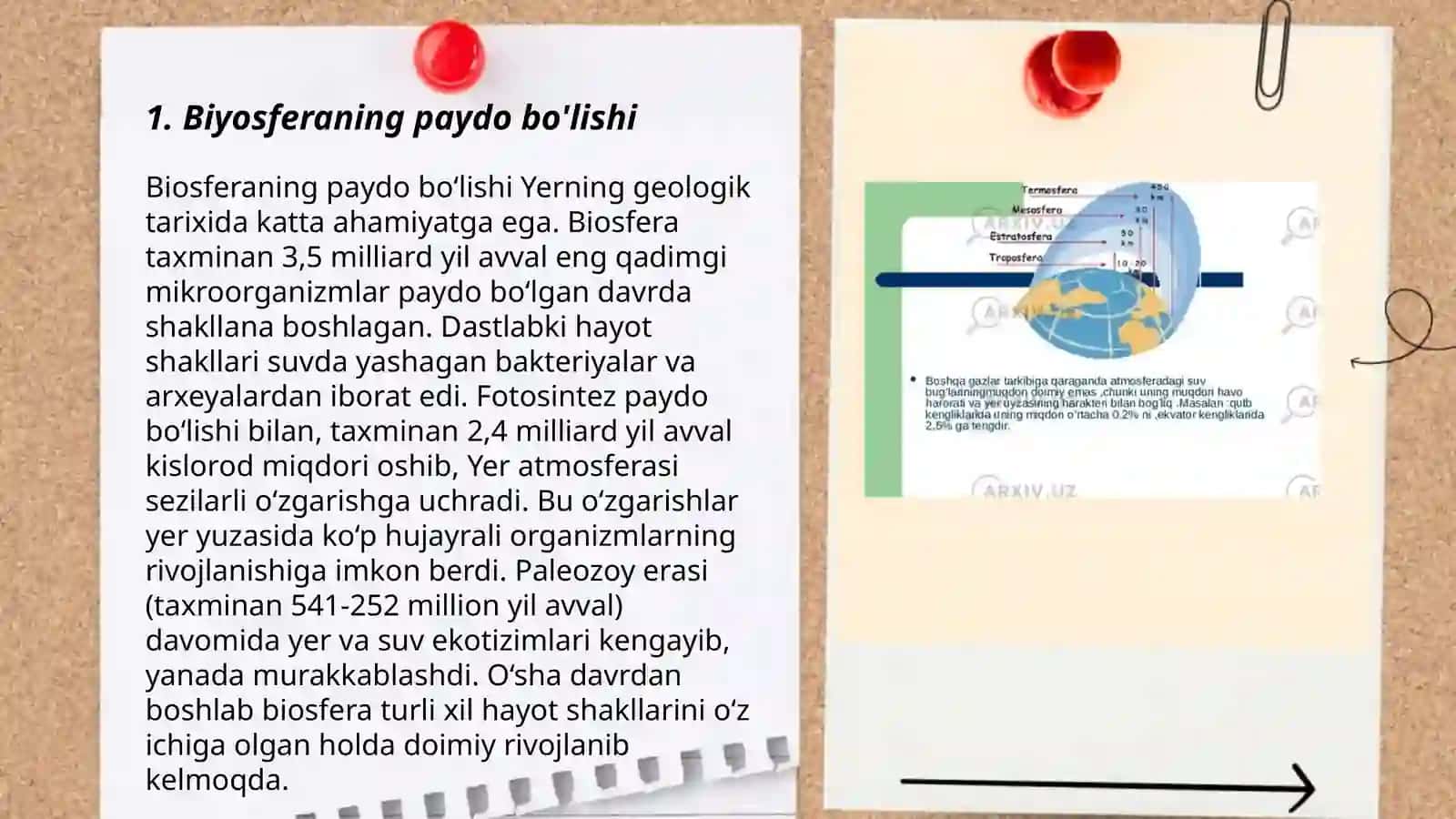 Biyosfera evolyusiyasi qatlamlari 3