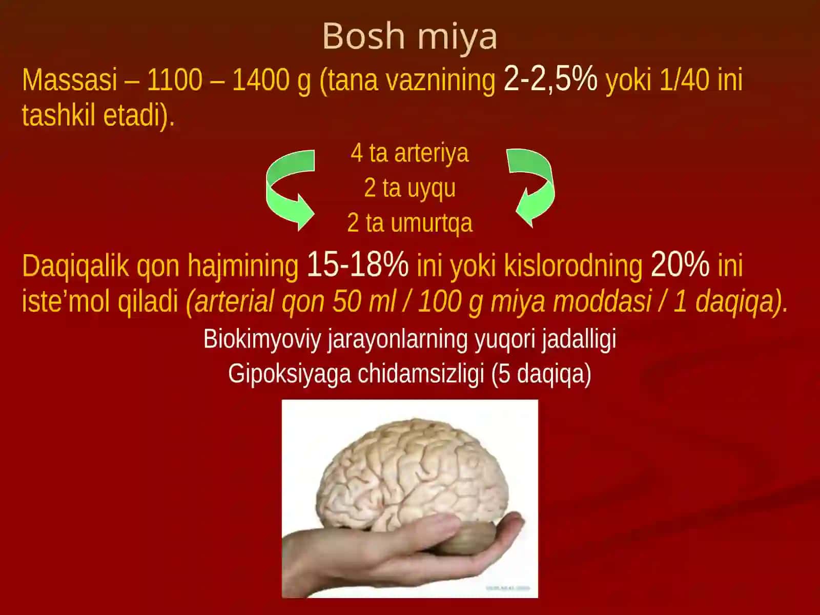 Boshsohasimiyaqisminingklinikanatomiyasi 3