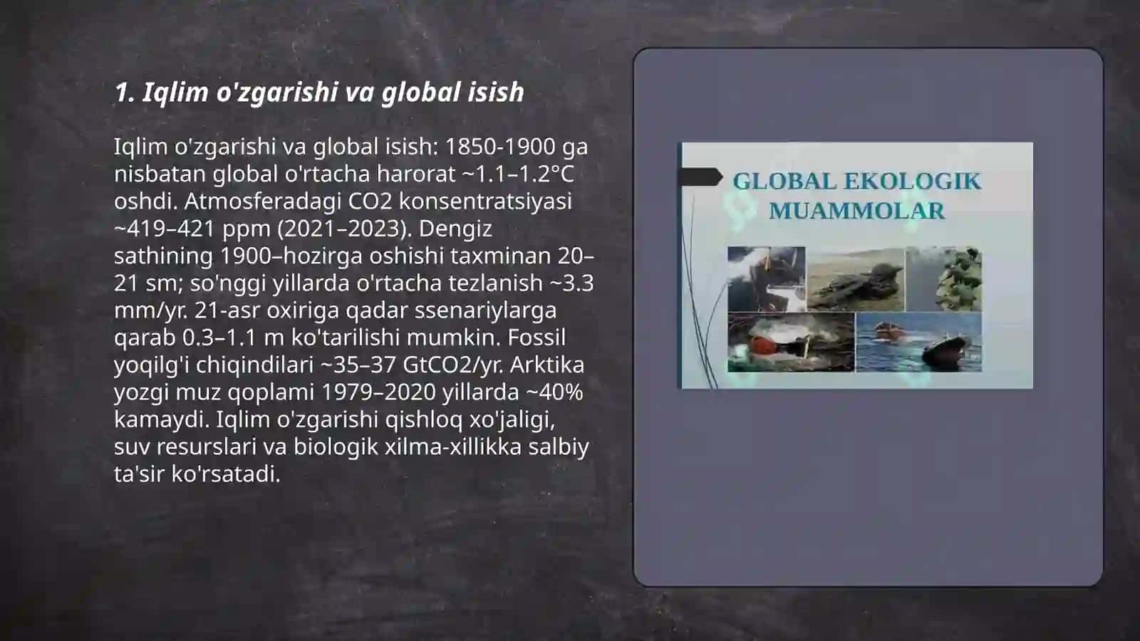 Global ekologik muamolar 3