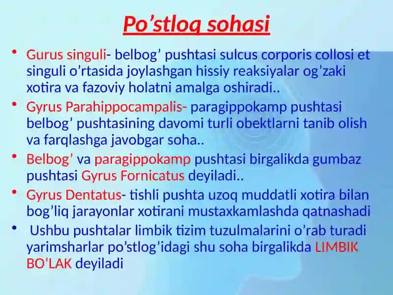 Limbik tizim 3