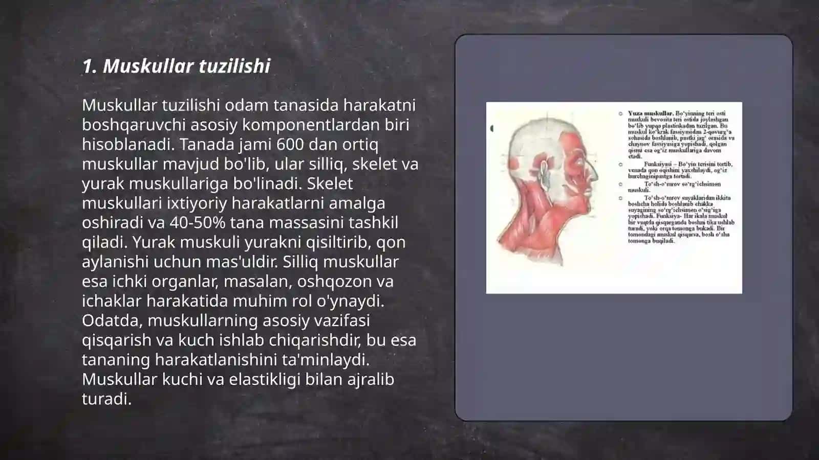 Muskul tolalarining xususiyatlari 3