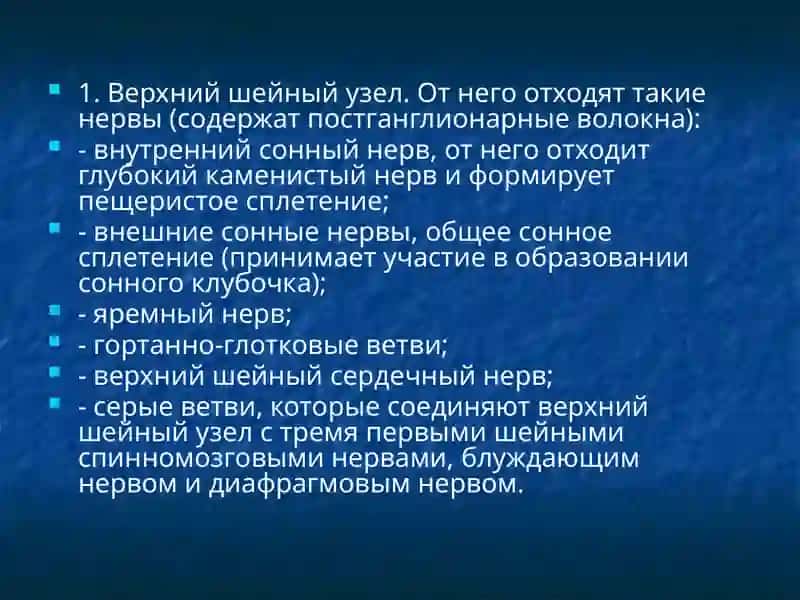 Автономная нервная система 3