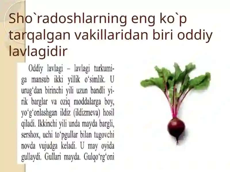 Sho`radoshlar oilasi 3