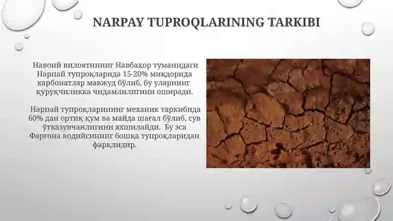 Narpay tuproqlari 3
