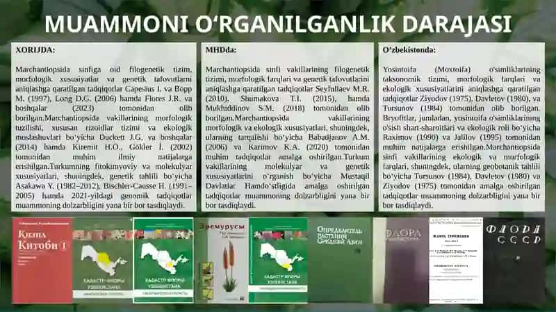 Bryophyta sinfi yo'sinlari 3