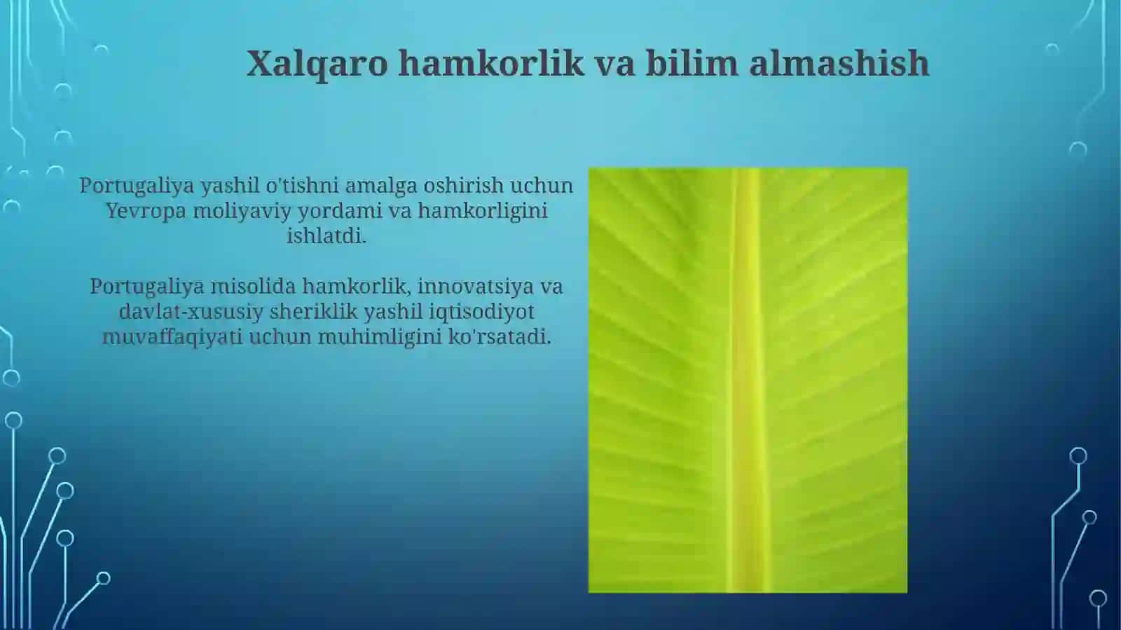 Portugaliyaning Yashil O'tish Safarlari 3
