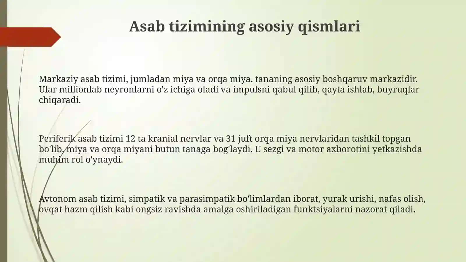 Nervsistemasi 3
