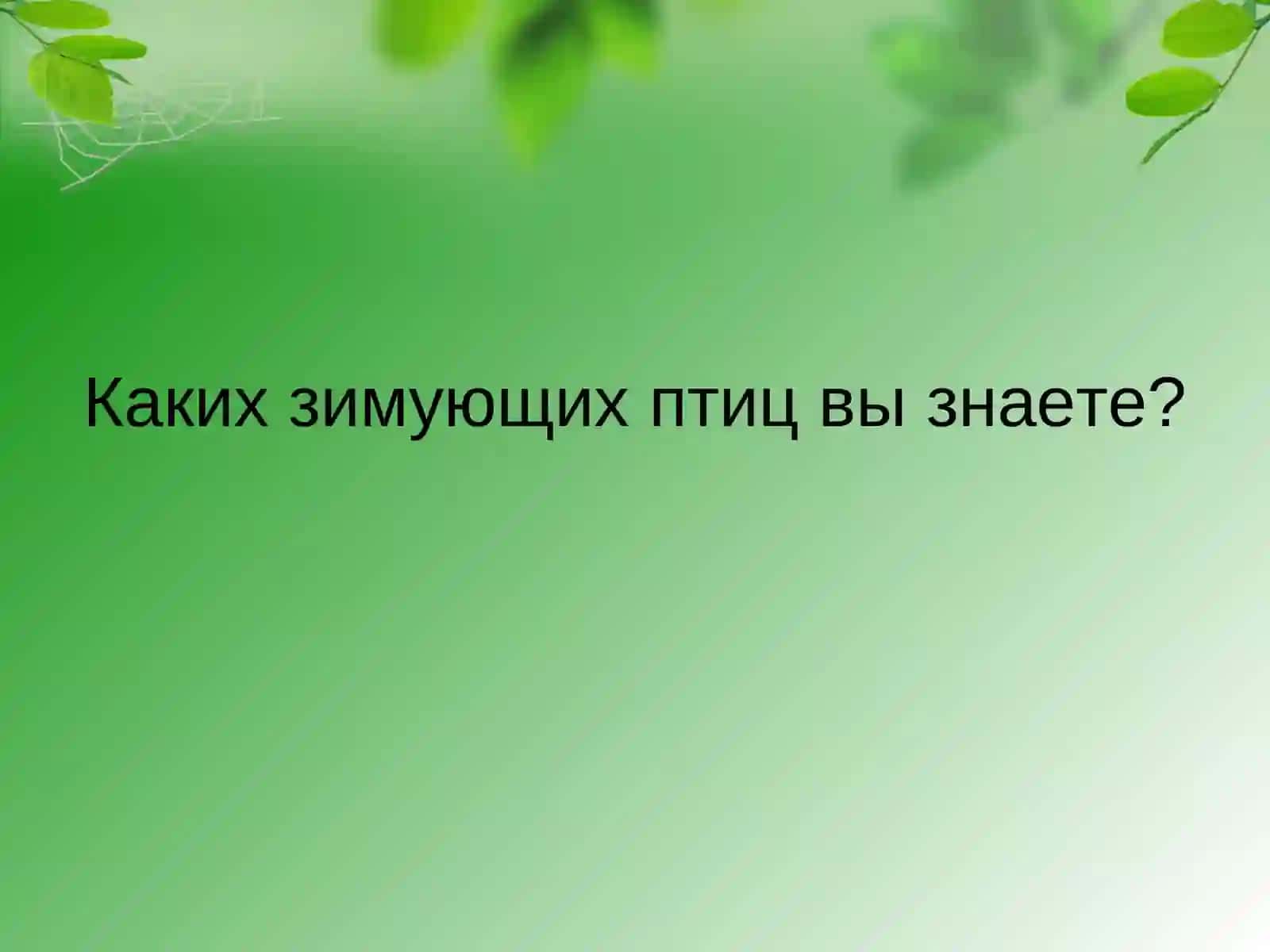 Интегрированный урок: письмо и развитие устной речи 3