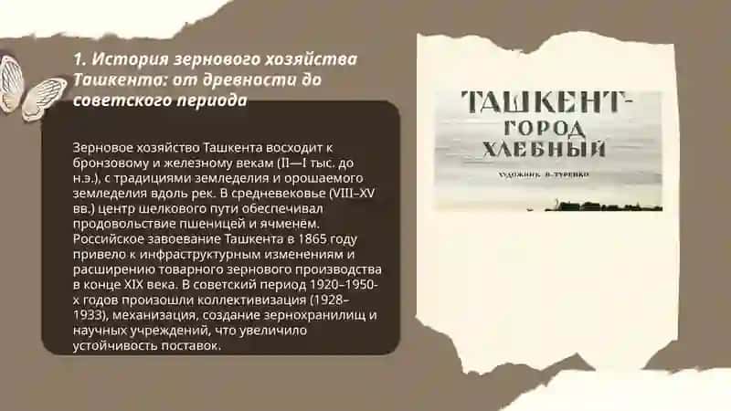 Ташкент-хлебный город. Ташкент-современный мегаполис 3