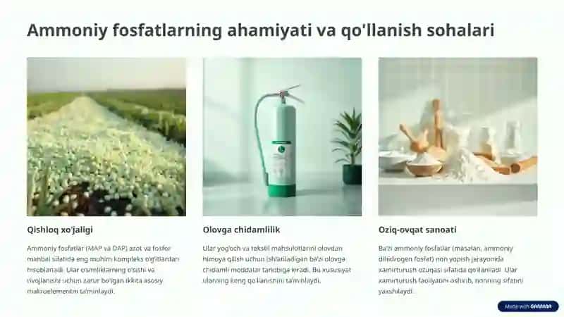 Ammoniy fosfatlar 3