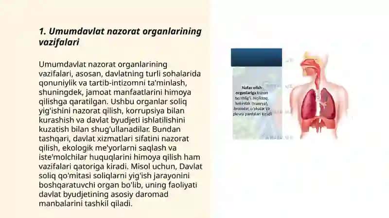 Umumdavlat nazorat organlari va ularning moliyaviy nazoratni tashkil etishi 3