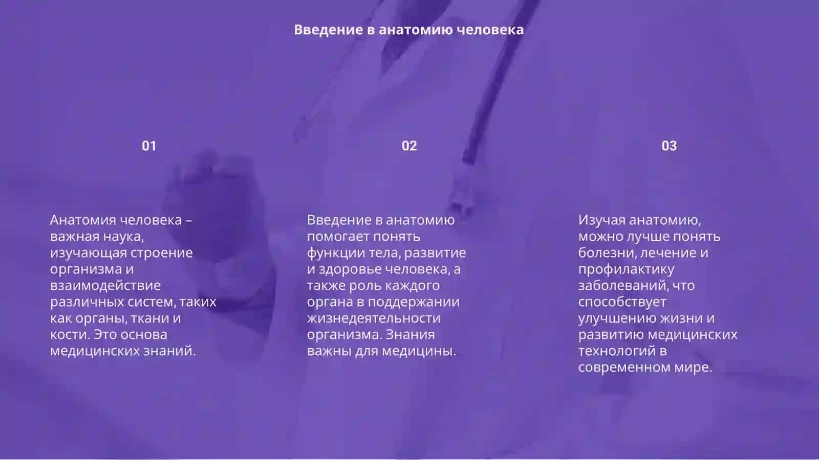 Анатомия человека 3