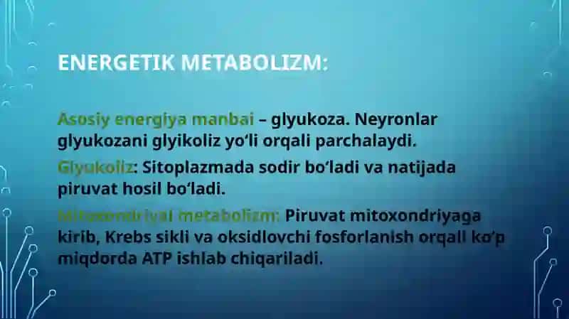 Nerv hujayralarida metabolizm jarayonlari 3