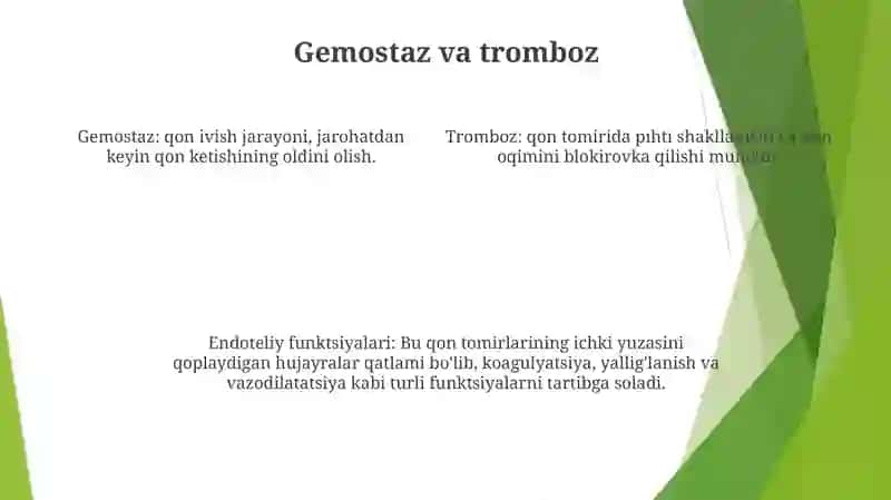 Qon Tomir Endoteliysining Funksiyalari 3