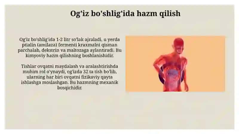 Hazm fiziologiyasi 3