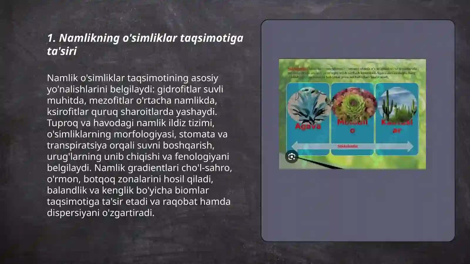 NAMLIK EKOLOGIK OMIL SIFATIDA 3