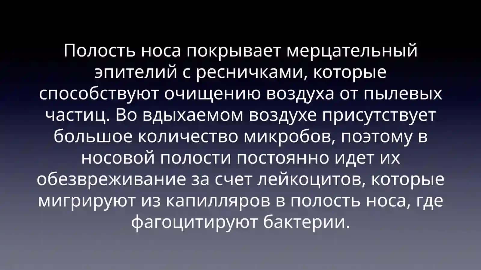 Дыхательная система 3