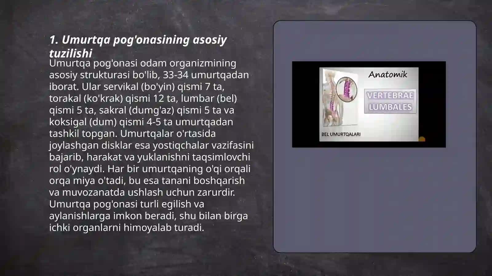 Umurtqalarning umumiy tuzilishi 3