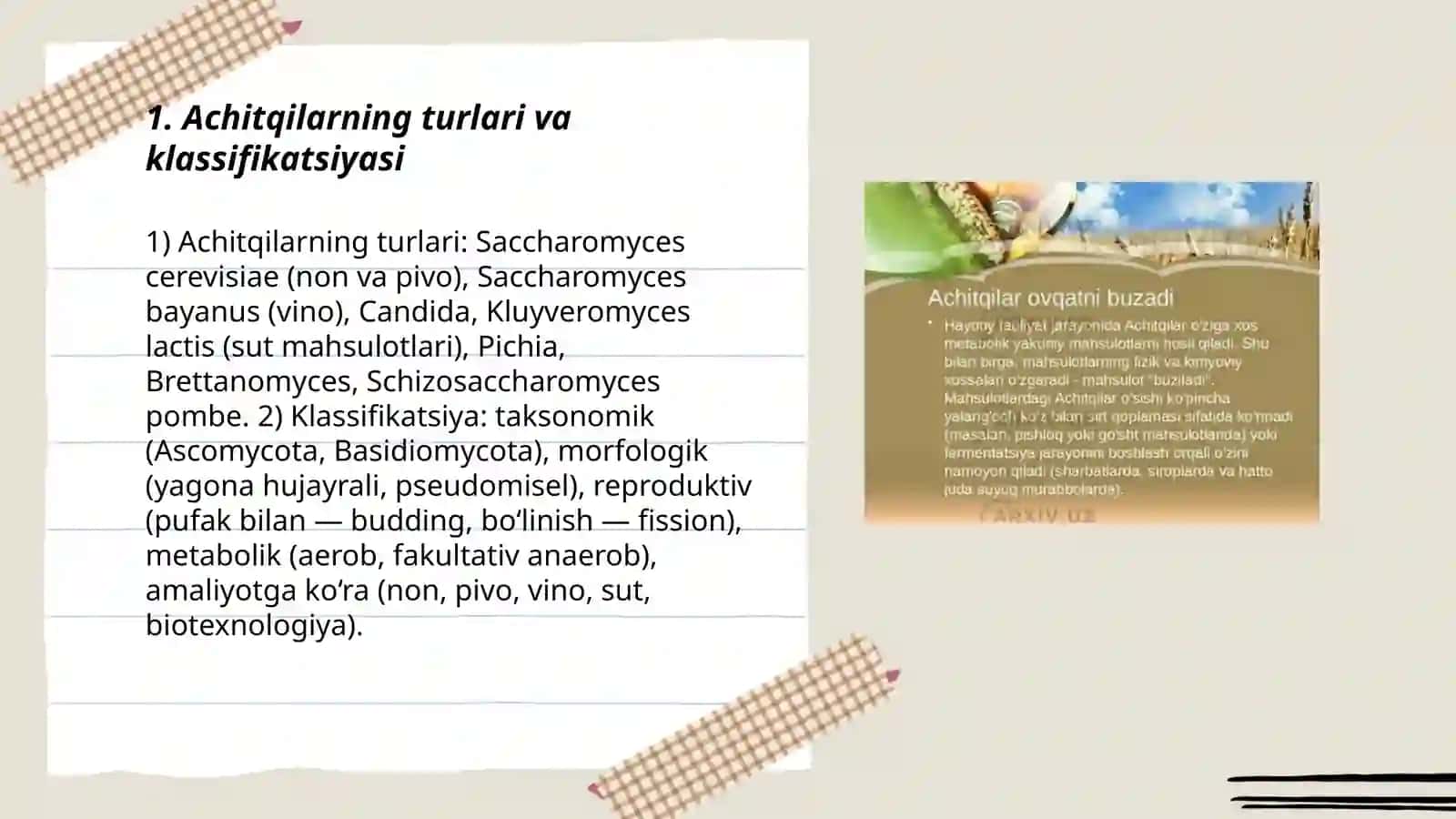 Achitqilar 3