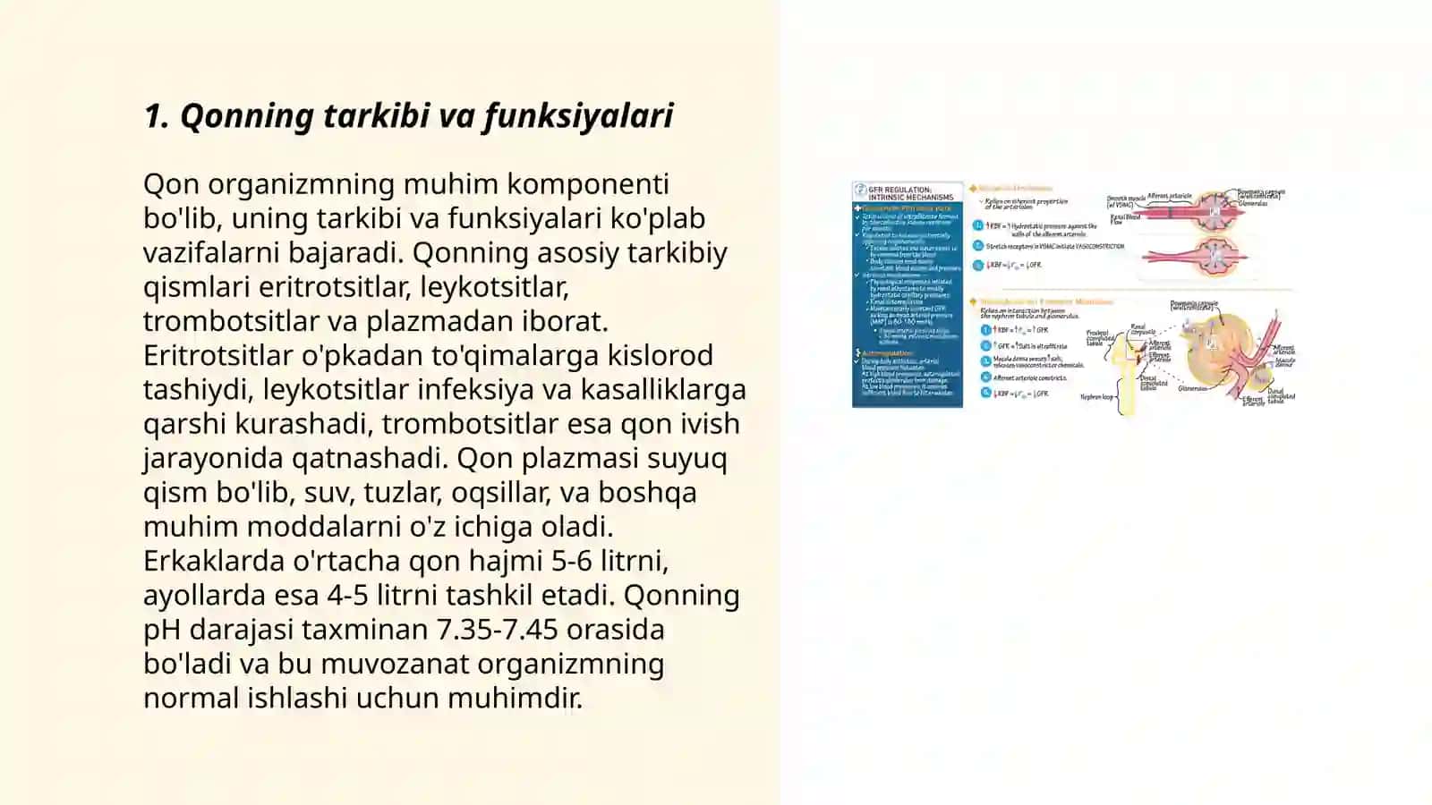 Qon fiziologiyasi 3