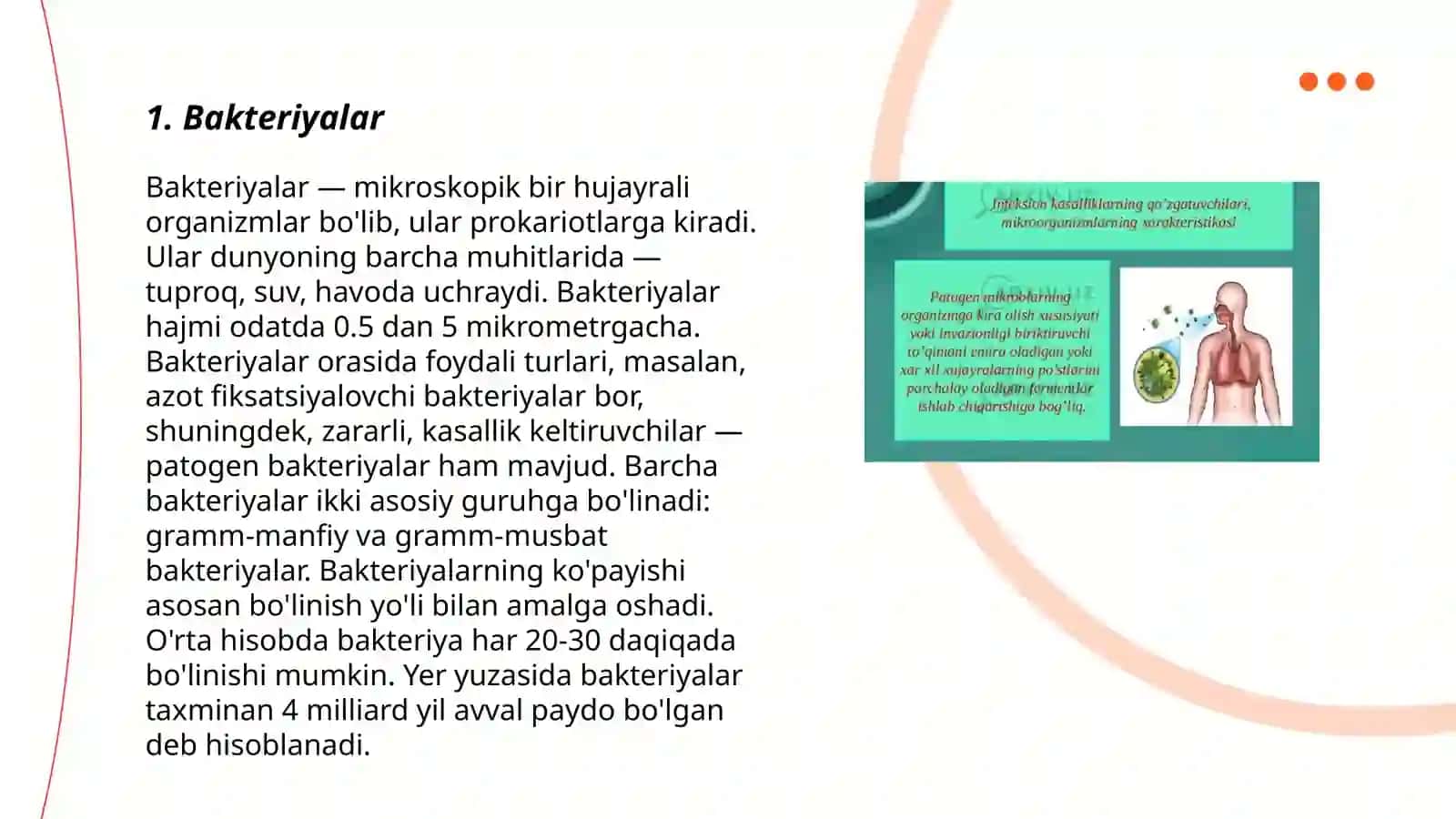Bakteriyalar 3