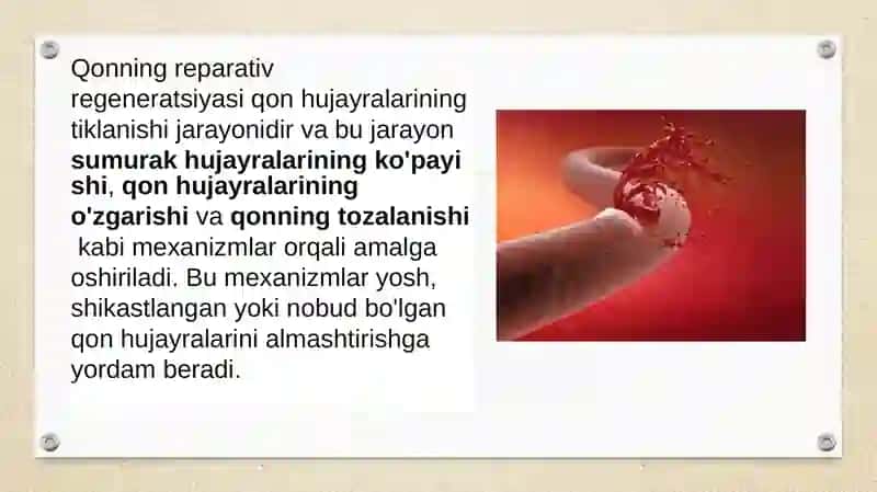 Qonreperativregeneratsiyasi 3