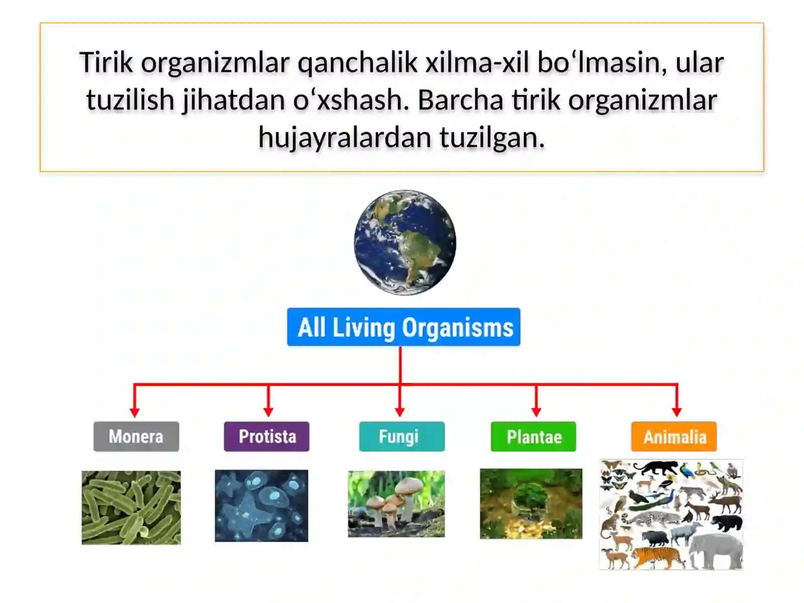 MAVZU.TIRIK ORGANIZMLARNING TUZILISHI 3