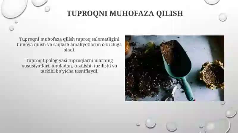Tillar tipologiyasi 3