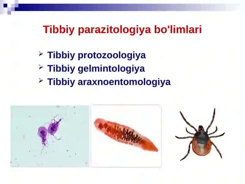 Parazitlarekologiyasi 3