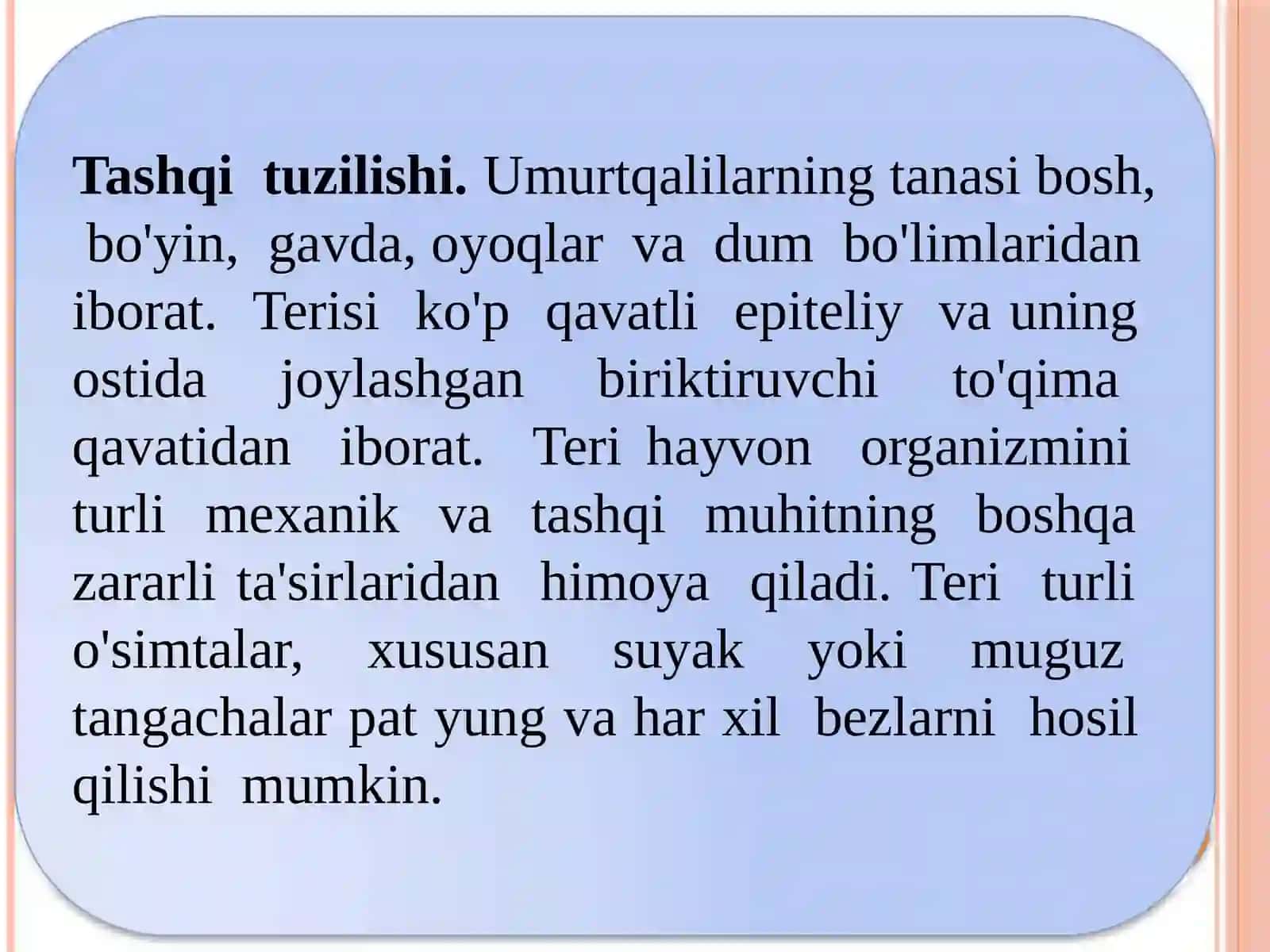 Umurtqalilarning kenja tipi 3