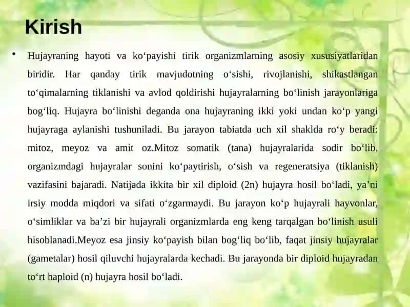 Hujayralarning Bo‘linish Turlari 3
