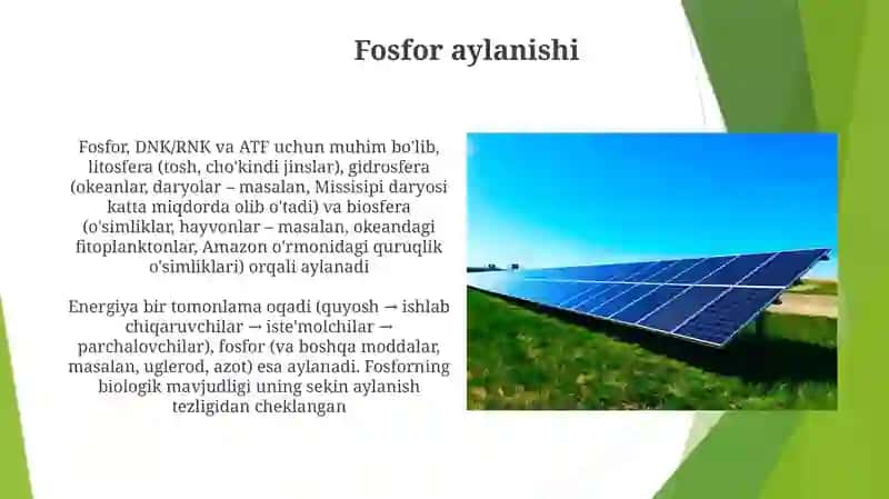 Biosferada modda va energiyaning aylanma harakati 3