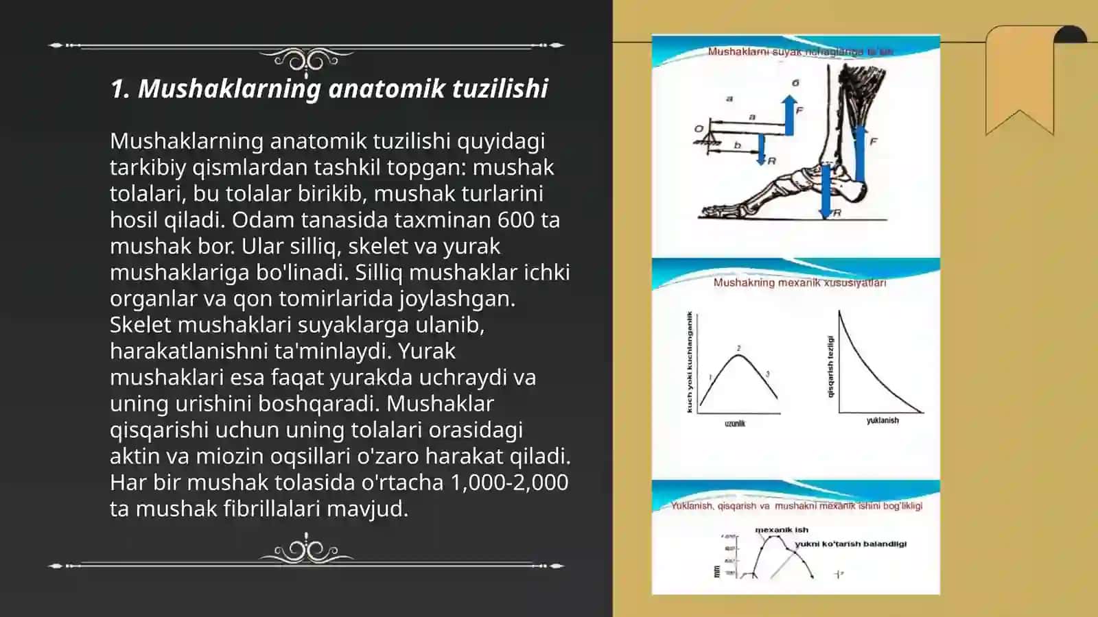 Mushaklarning ishi va biomexanikasi 3